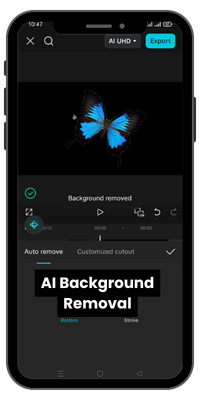 AI Background Removal
