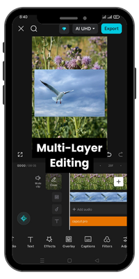 Multi-Layer Editing