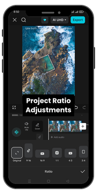 Project Ratio Adjustments