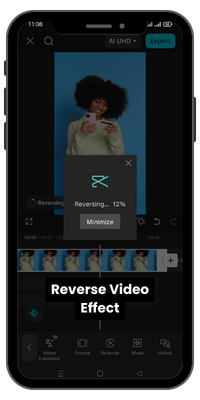 Reverse Video Effect