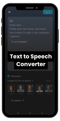 Text to Speech Converter