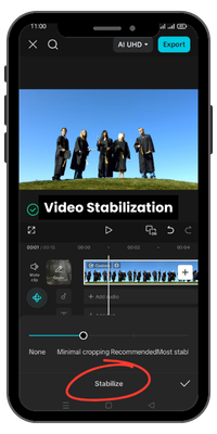 Video Stabilization
